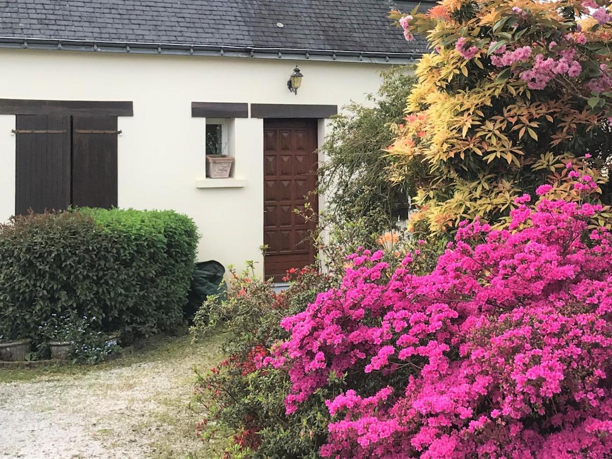 Willa Ti Cairn Moëlan-sur-Mer Zewnętrze zdjęcie